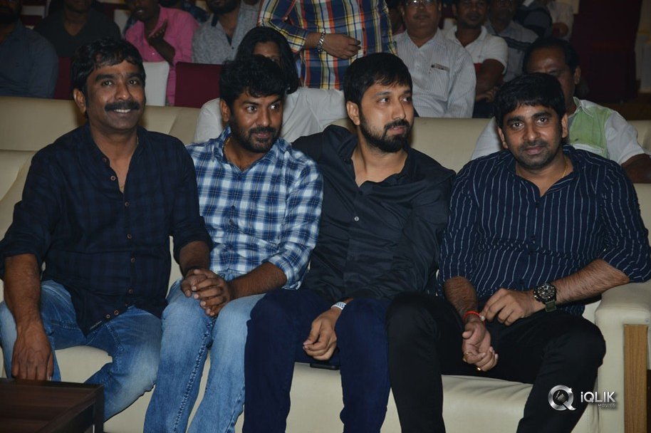 Neevevaro-Movie-Press-Meet-Photos